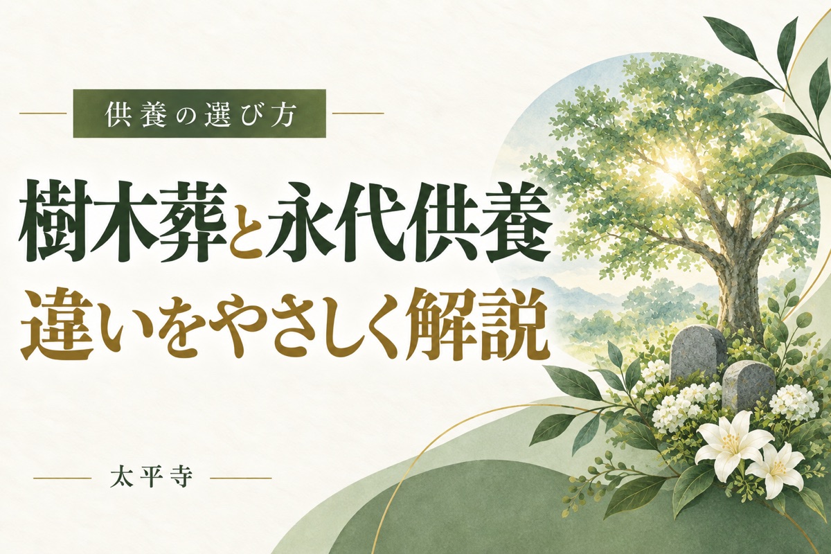 樹木葬と永代供養の違いは?合祀墓との比較と費用・後悔しない選び方